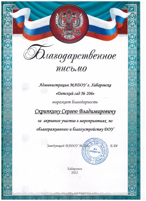 Детский сад 206